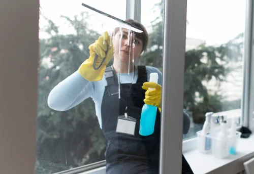 Nettoyage de vitres intérieures et extérieures à Villeneuve-la-Dondagre